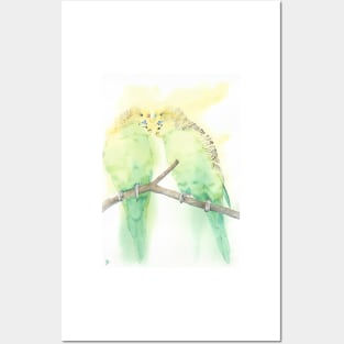 Budgies couple kiss watercolor portrait Posters and Art